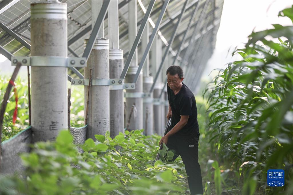 欧洲城28怎么进不去